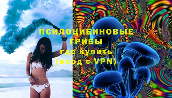 PSILOCYBIN Балахна