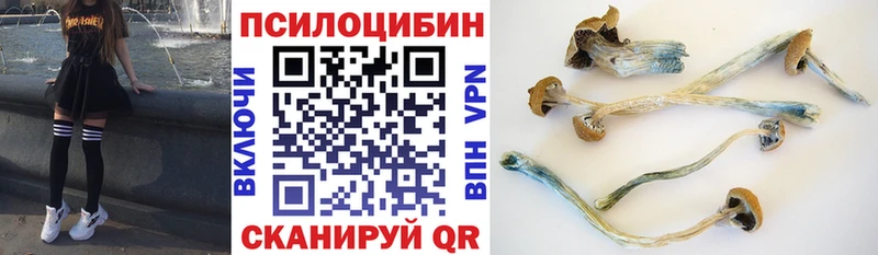 Псилоцибиновые грибы Cubensis  закладка  Сафоново 