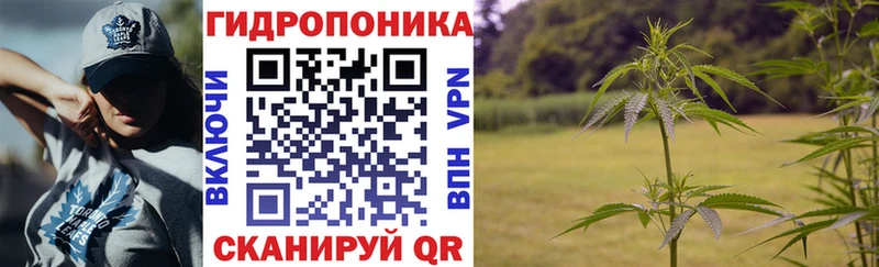 купить наркоту  Сафоново  Конопля THC 21% 
